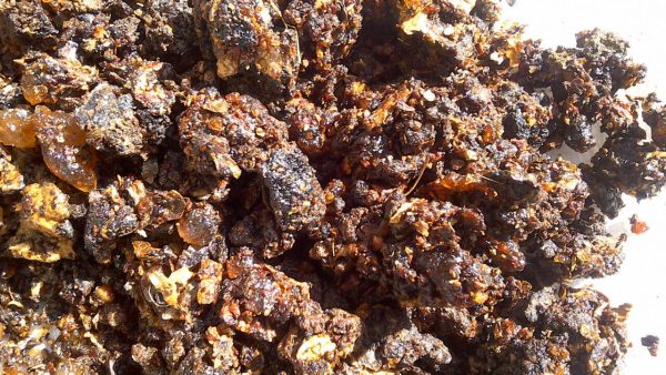Myrrh Essential Oil - Image 4