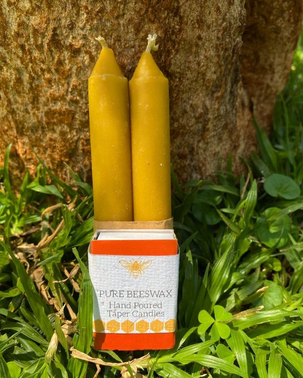 Beeswax Candles - Provisions